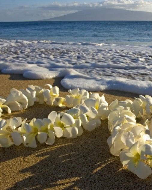 ALOHA & MAHALO